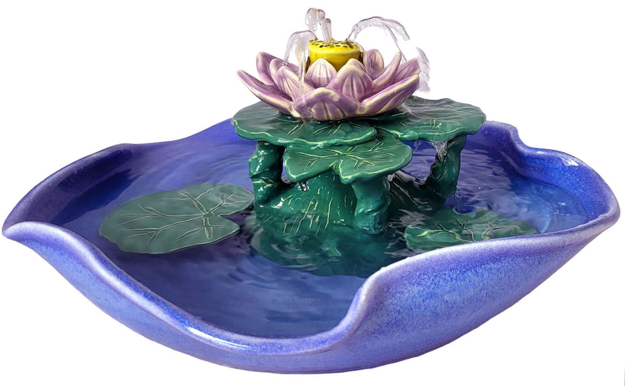 Waterlily