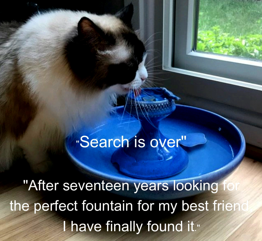 best cat water fountain