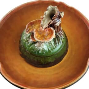 handmade ceramic mushroom & slamander fountain